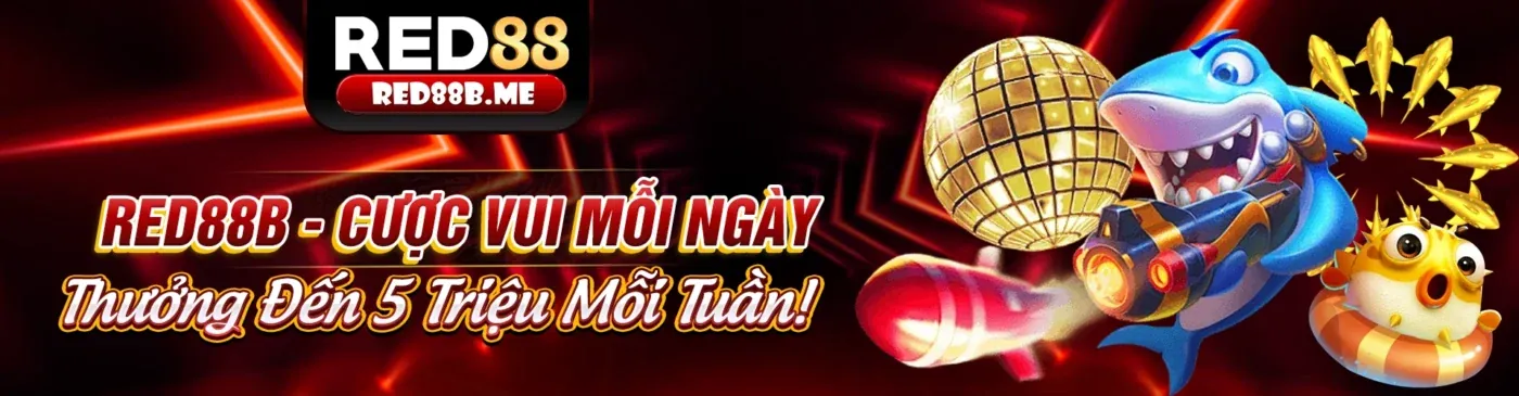 Hình ảnh chính sách bảo mật cm88u